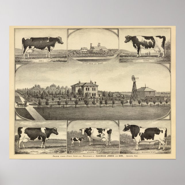 Poster Prairie Lawn Farm (Nebraska) (Devant)