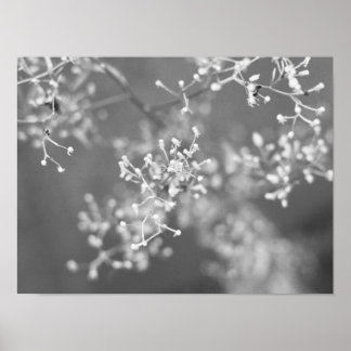 Poster Prairie monochrome