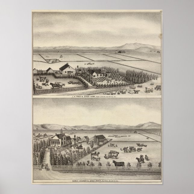 Poster Pratt, Stewart (Devant)