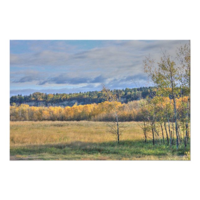 Poster Pré avec Aspens (Devant)