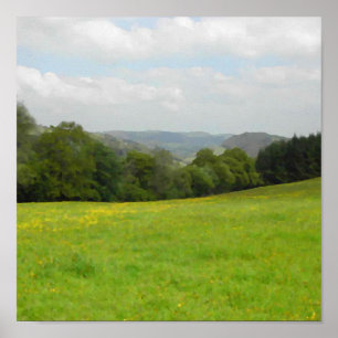 Poster Pré vert. Paysage de campagne