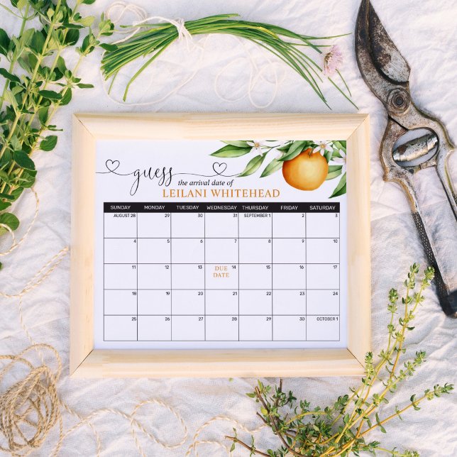 Poster Prédictions Baby shower Cutie Oranges (Créateur téléchargé)