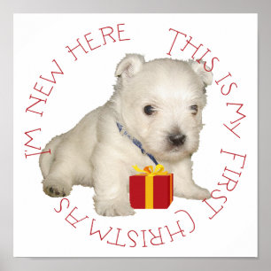 Poster Premier Noël de chiot Westie