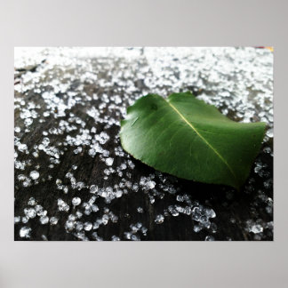 Poster Premier temps