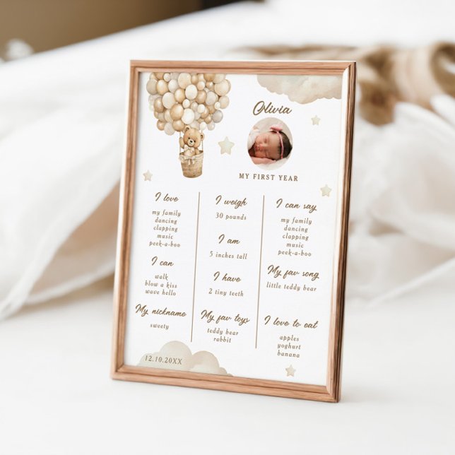 Poster Première étape de l'infographie de l'ours en peluc (Créateur téléchargé)