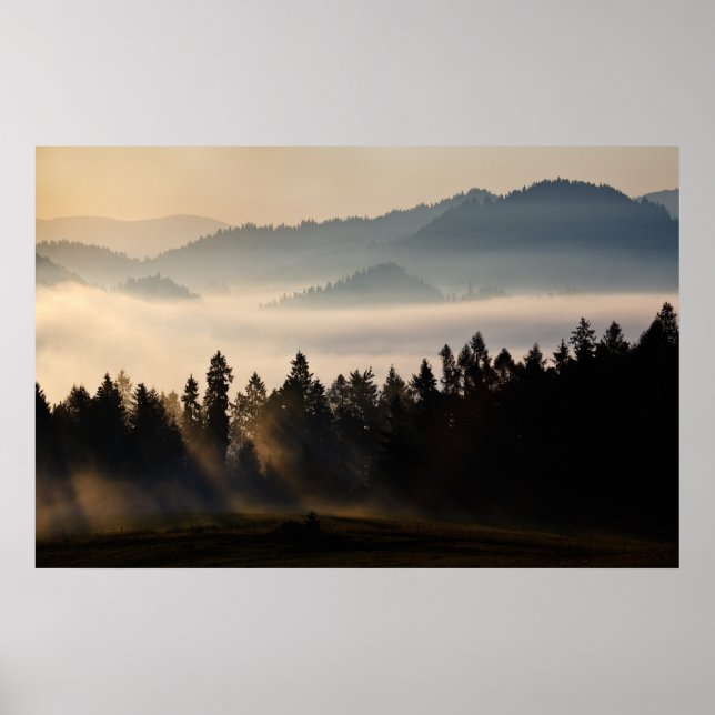 Poster Première lumière (Devant)