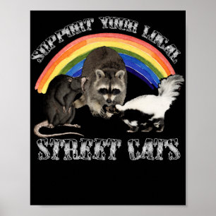 Poster Prenez en charge vos chats STreet locaux