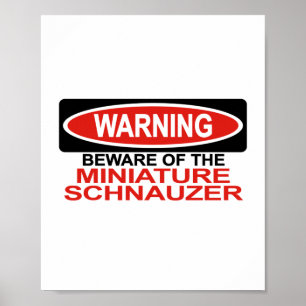 Poster Prenez garde du Schnauzer miniature