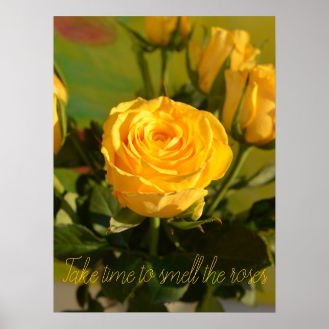 Poster Prenez le temps de sentir la rose jaune photo pers (Devant)