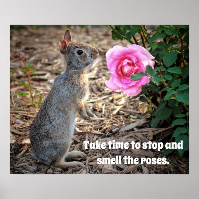 Poster Prenez le temps de sentir l'affiche Rose (Devant)