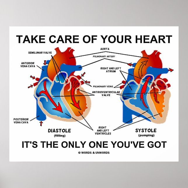 Poster Prenez soin de votre coeur C'est le seul que vous  (Devant)