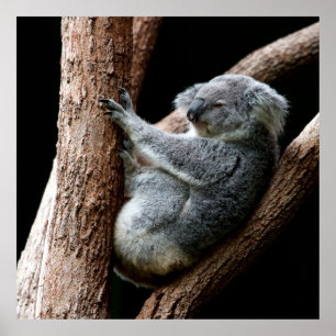 POSTER PRENEZ VOTRE TEMPS