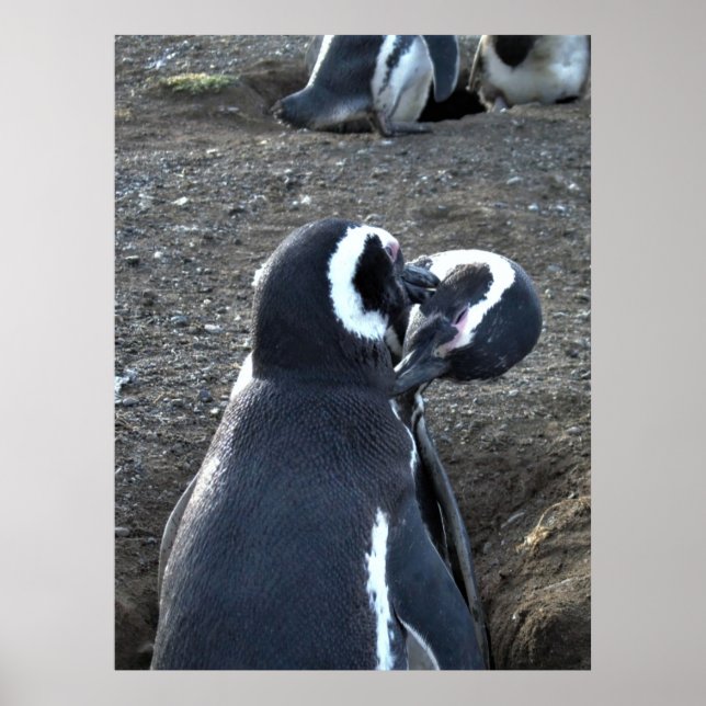 Poster Préparation des partenaires (Devant)