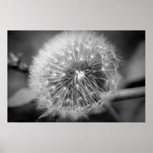 Poster Préparez pour décollent ! ! !