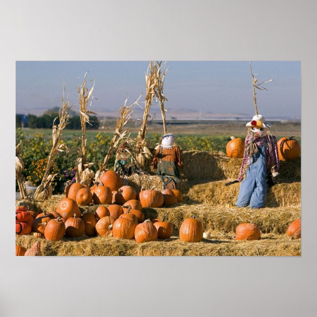 Poster Présentation de citrouilles avec des bottes de foi (Devant)