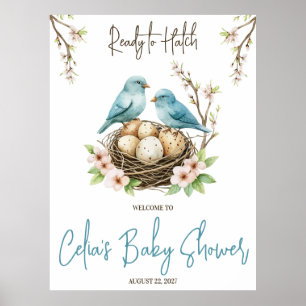Poster Prêt pour Hatch ! Baby shower aux oiseaux mignons 