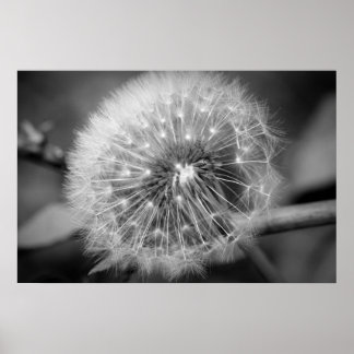 Poster Prêt pour le décollage ! ! !