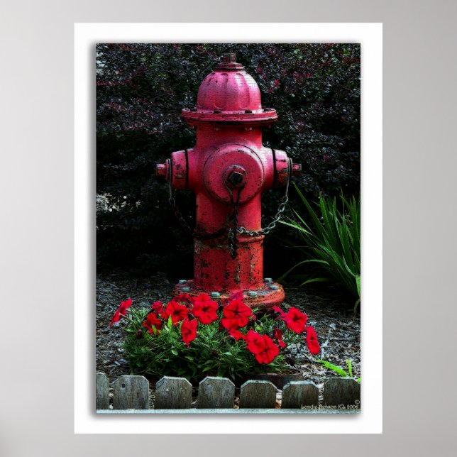 Poster Prêt, volonté et capacité (Devant)