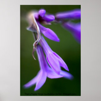 Poster "Pretty Purple Things" par Andrew Gettler