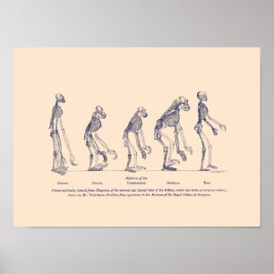 Poster Preuve de la place de l’homme dans la nature