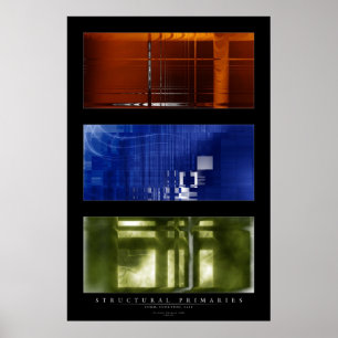 Poster Primaires structurelles