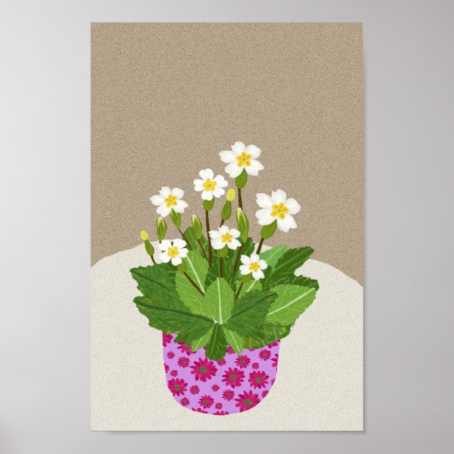 Poster Primrose (Devant)