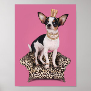 Poster Princesse de chiwawa