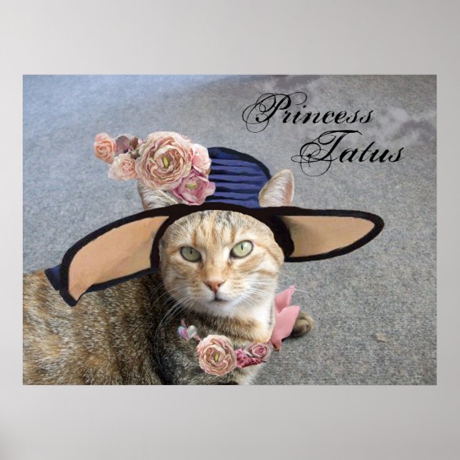 POSTER PRINCESSE TATUS / CHAT ÉLÉGANT, GRAND CHAPEAU DE D (Devant)