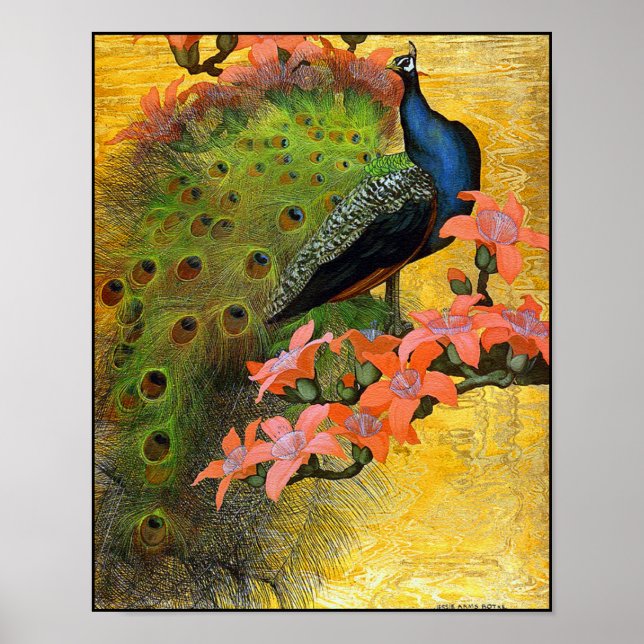 Poster Print: Blue Peacock (Vorne)