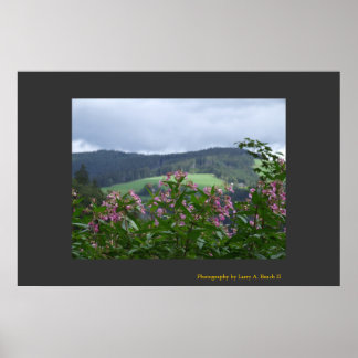 Poster Printemps à Triberg