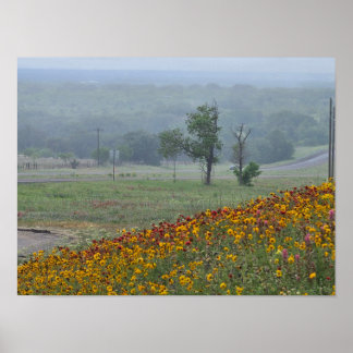 Poster Printemps au Texas