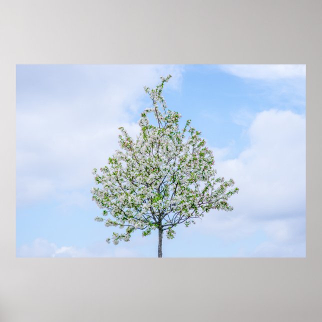 Poster Printemps - Bonne Pâques (Devant)