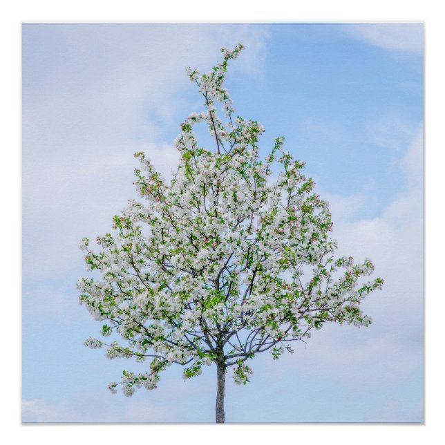 Poster Printemps - Bonne Pâques (Devant)