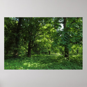 Poster Printemps dans les bois 01