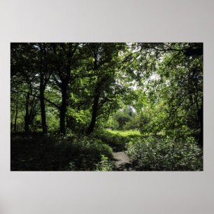Poster Printemps dans les bois 03