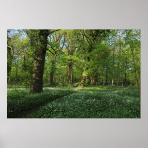 Poster Printemps dans les Bois, Bute Park, Cardiff