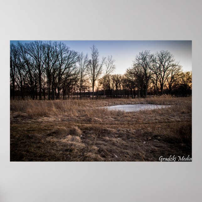 Poster Printemps Icy (Devant)