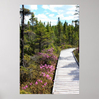 Poster Printemps sur la Marche des tourbières