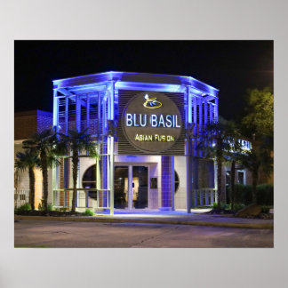 Poster Prise de vue nocturne de Blu Basil