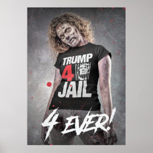 Poster Prison Trump 4