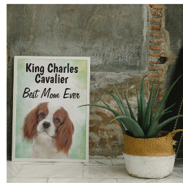 Poster Prix King Charles Cavalier du meilleur acteur