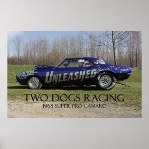 Poster Pro voiture superbe lâchée d'entrave