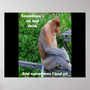 Poster Proboscis Monkey - Sometimes I Sit and Think