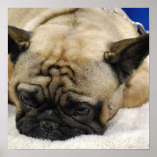 Poster Produit de personnaliser