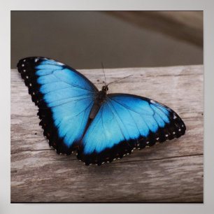 Poster Produit de personnaliser