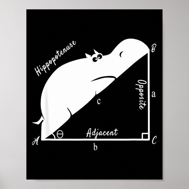 Poster Prof de maths drôle, Hiptenuse drôle, professeur d (Devant)