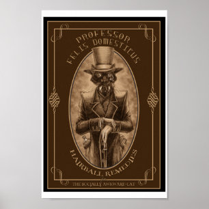 Poster Professeur Felis DOmesticus