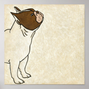 Poster Profil de French Bulldog En tête