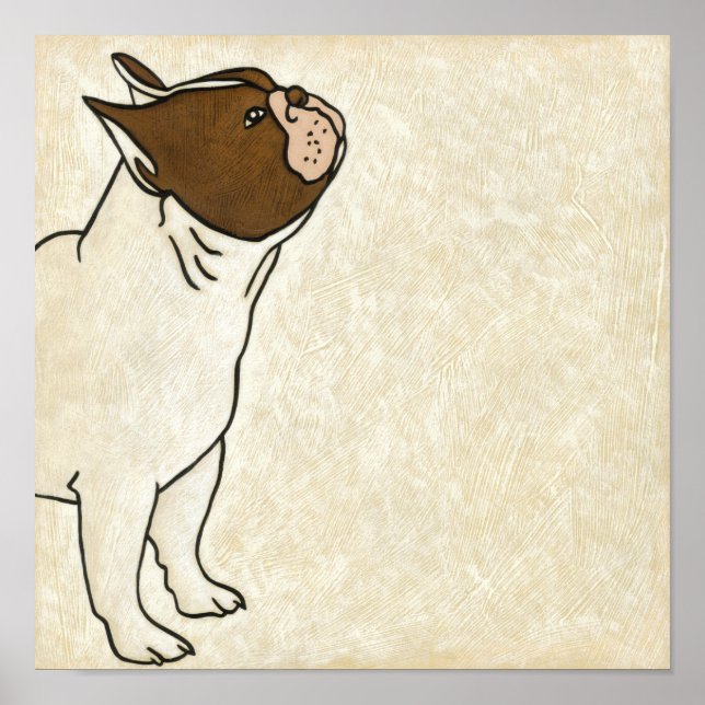 Poster Profil de French Bulldog En tête (Devant)