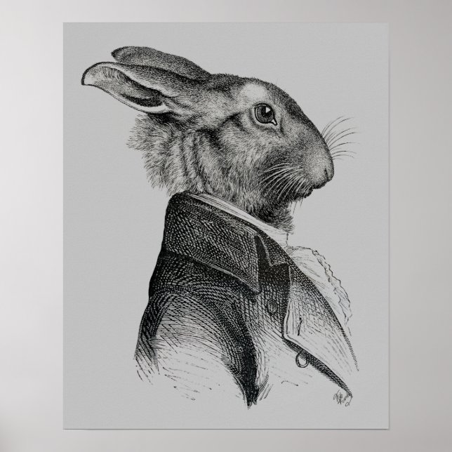Poster Profil de portrait de lapin (Devant)